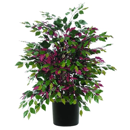 Vickerman Capensia Extra Full Everyday Bush - 4 ft. TXX0340-06